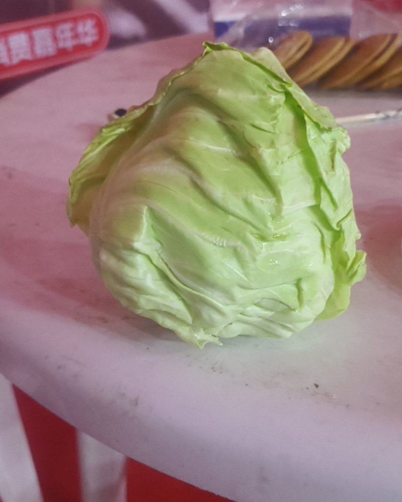 台湾高丽菜