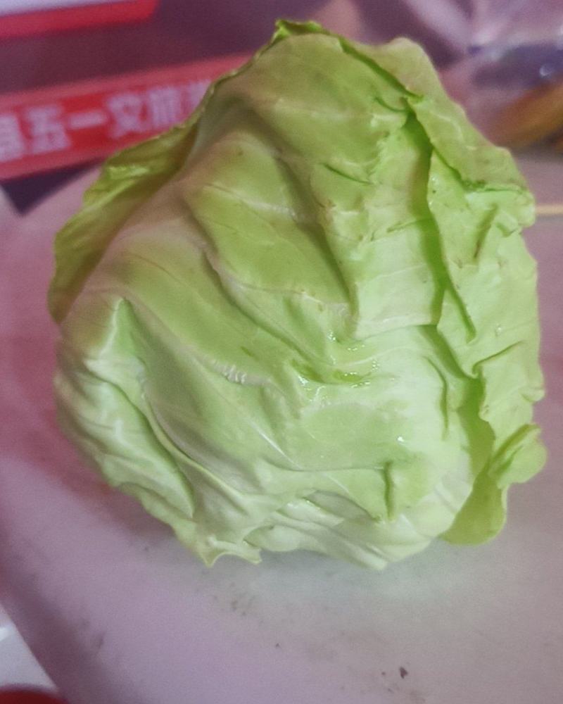 台湾高丽菜