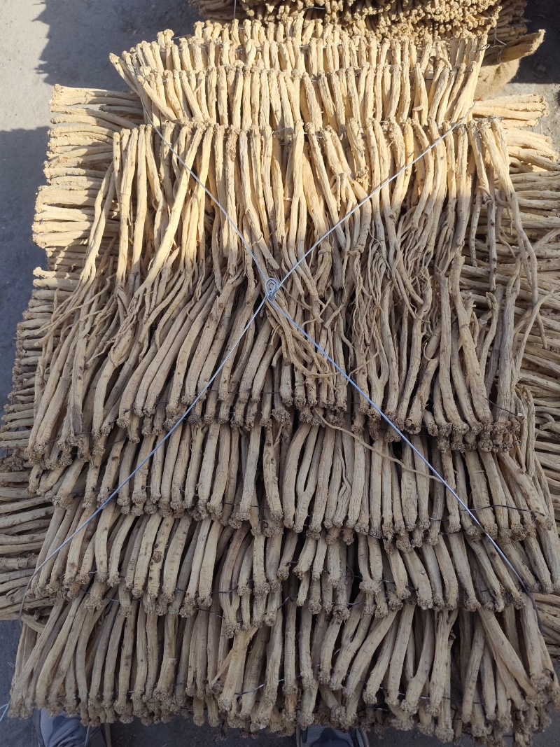 大美甘肃黄芪当归党参
