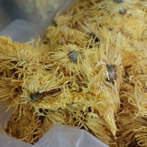 金丝菊花
