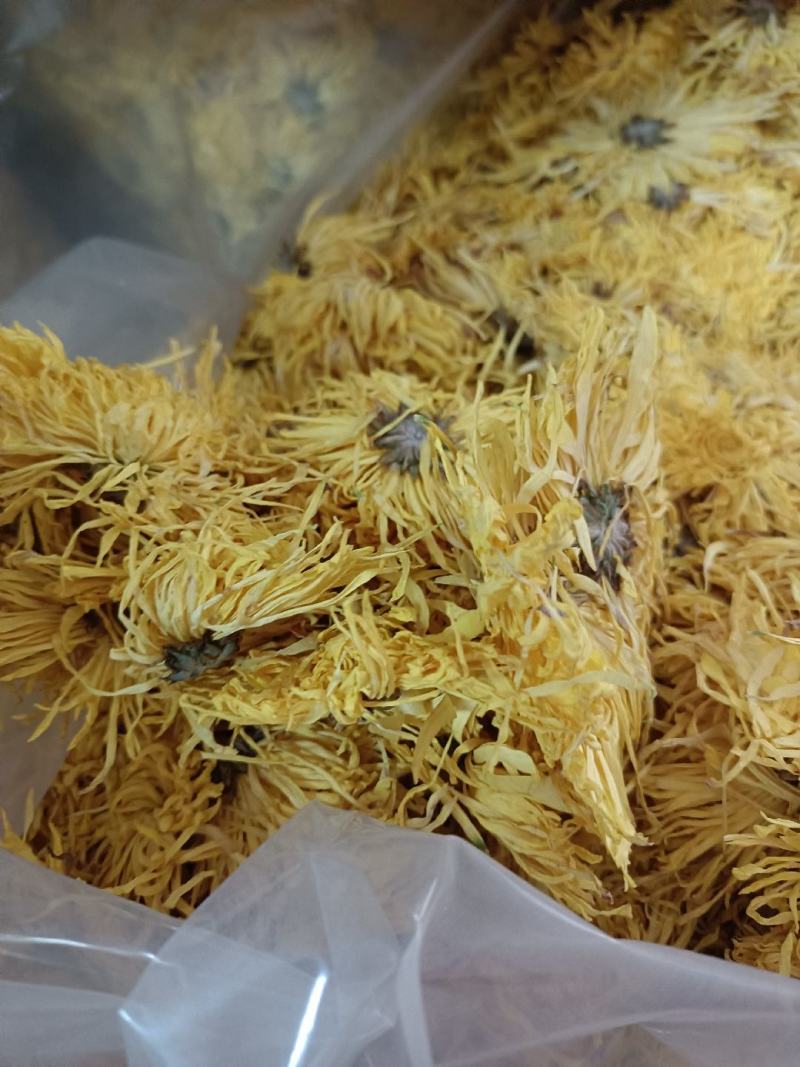 金丝菊花