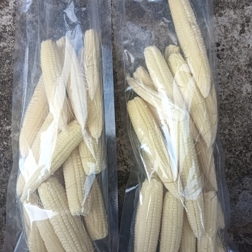 自产自销新鲜玉米笋