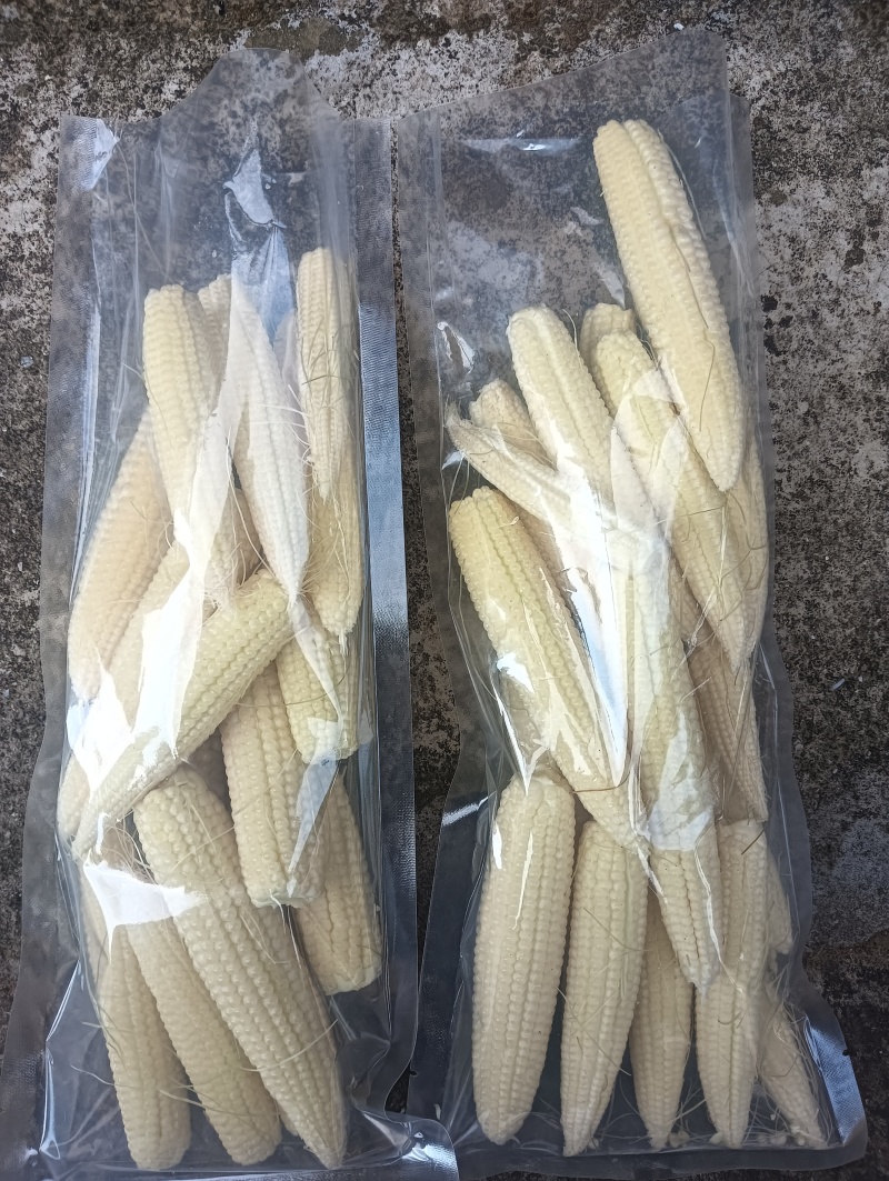 自产自销新鲜玉米笋