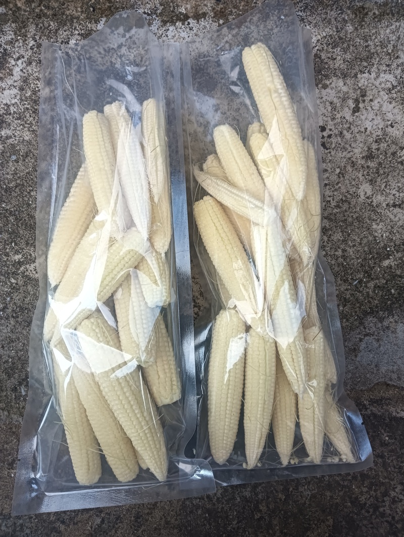 自产自销新鲜玉米笋