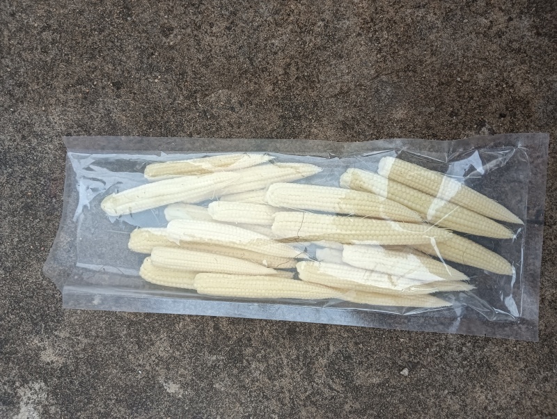 自产自销新鲜玉米笋