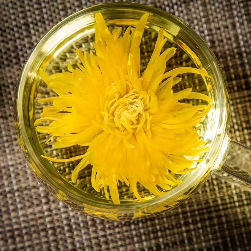 怀菊花