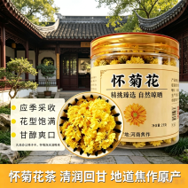 怀菊花