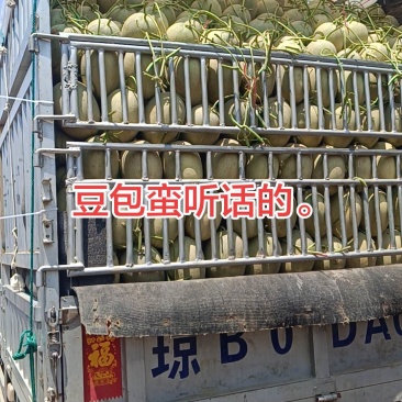 海南小蜜