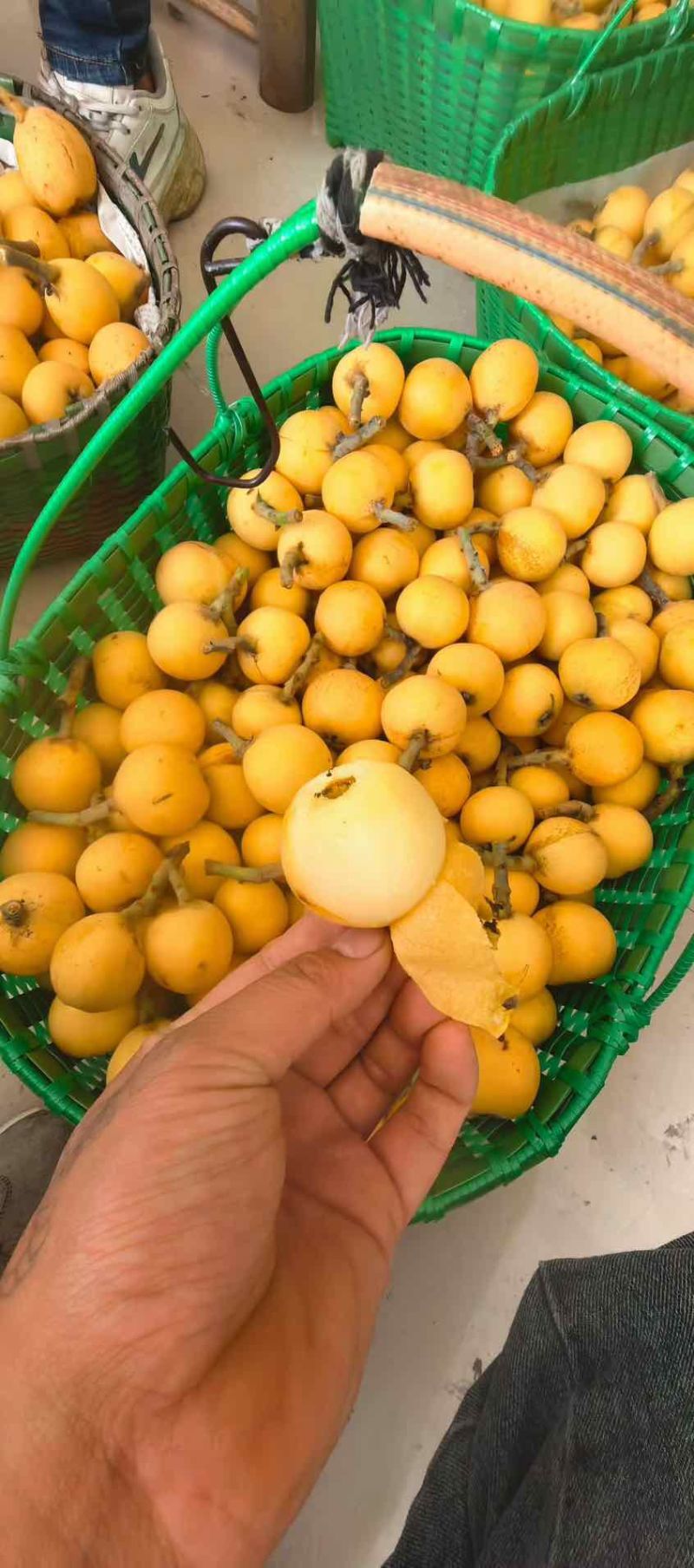 苏州东山白玉枇杷细腻多汁一件代发