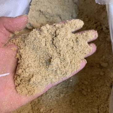 养殖熟玉米面，主要是降低成本，代替所有玉米养殖使用，营养丰富