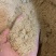 养殖熟玉米面，主要是降低成本，代替所有玉米养殖使用，营养丰富