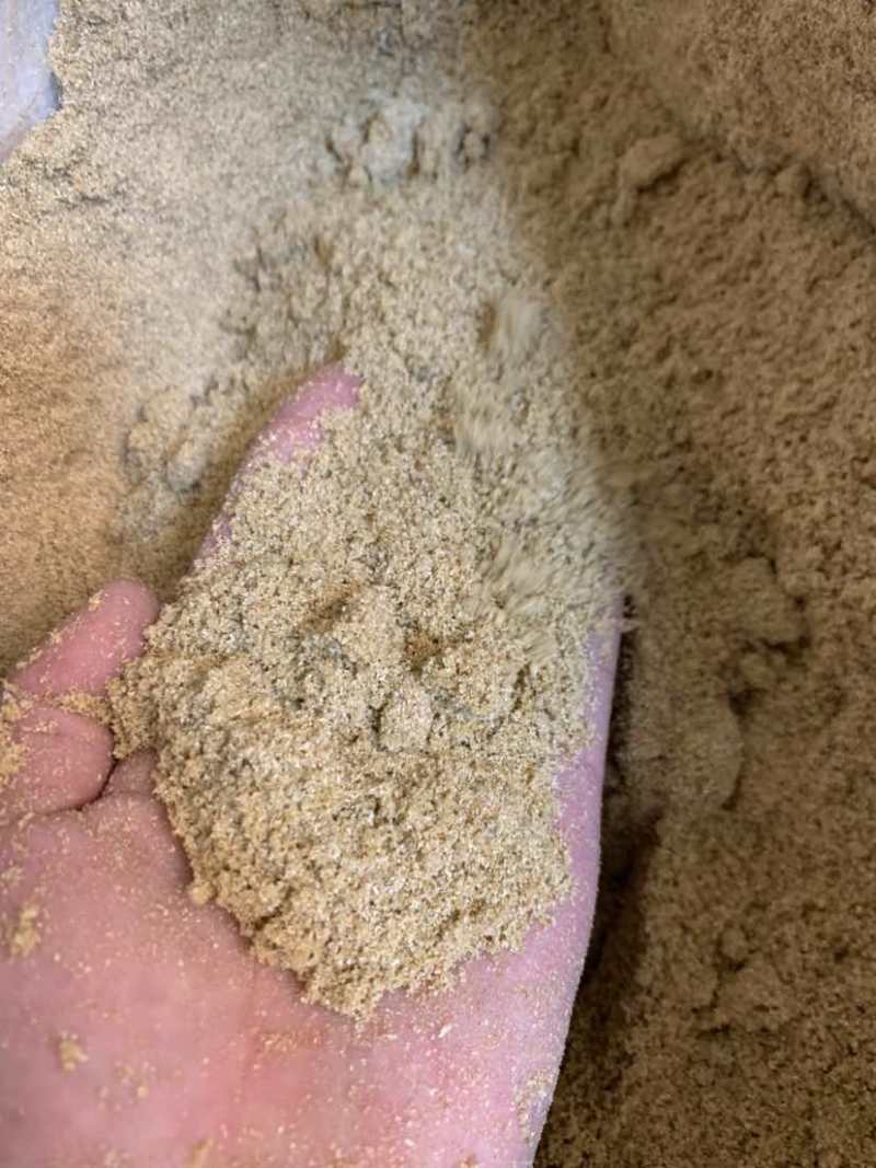养殖熟玉米面，主要是降低成本，代替所有玉米养殖使用，营养丰富