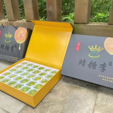 六马蜂糖李开始预售