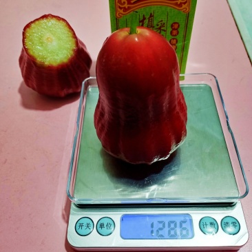 黑金刚莲雾