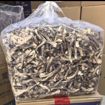 鹿茸菇干货特价大量现货优惠便宜质量好