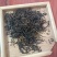 广西龙胜龙脊茶