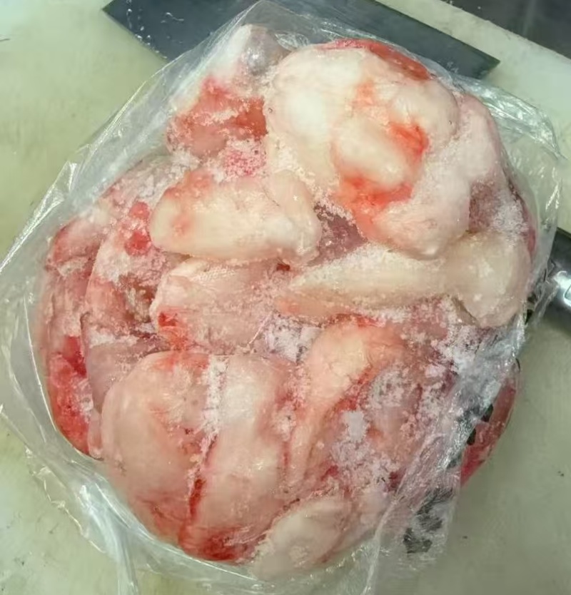 江团鮰鱼鱼泡