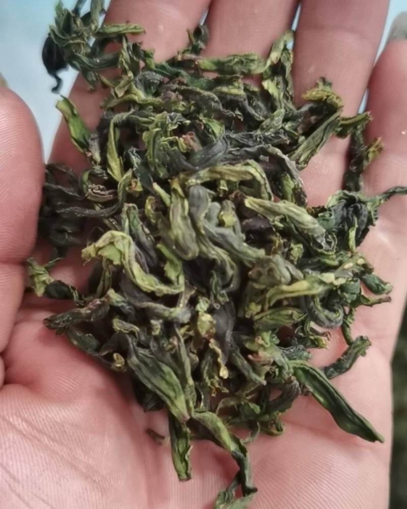 六安瓜片