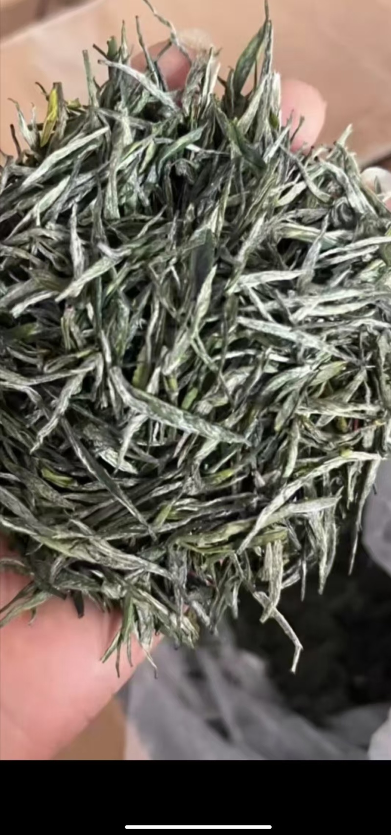 神雾岭毛尖茶
