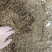稻壳鸡粪