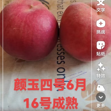 深州蜜桃