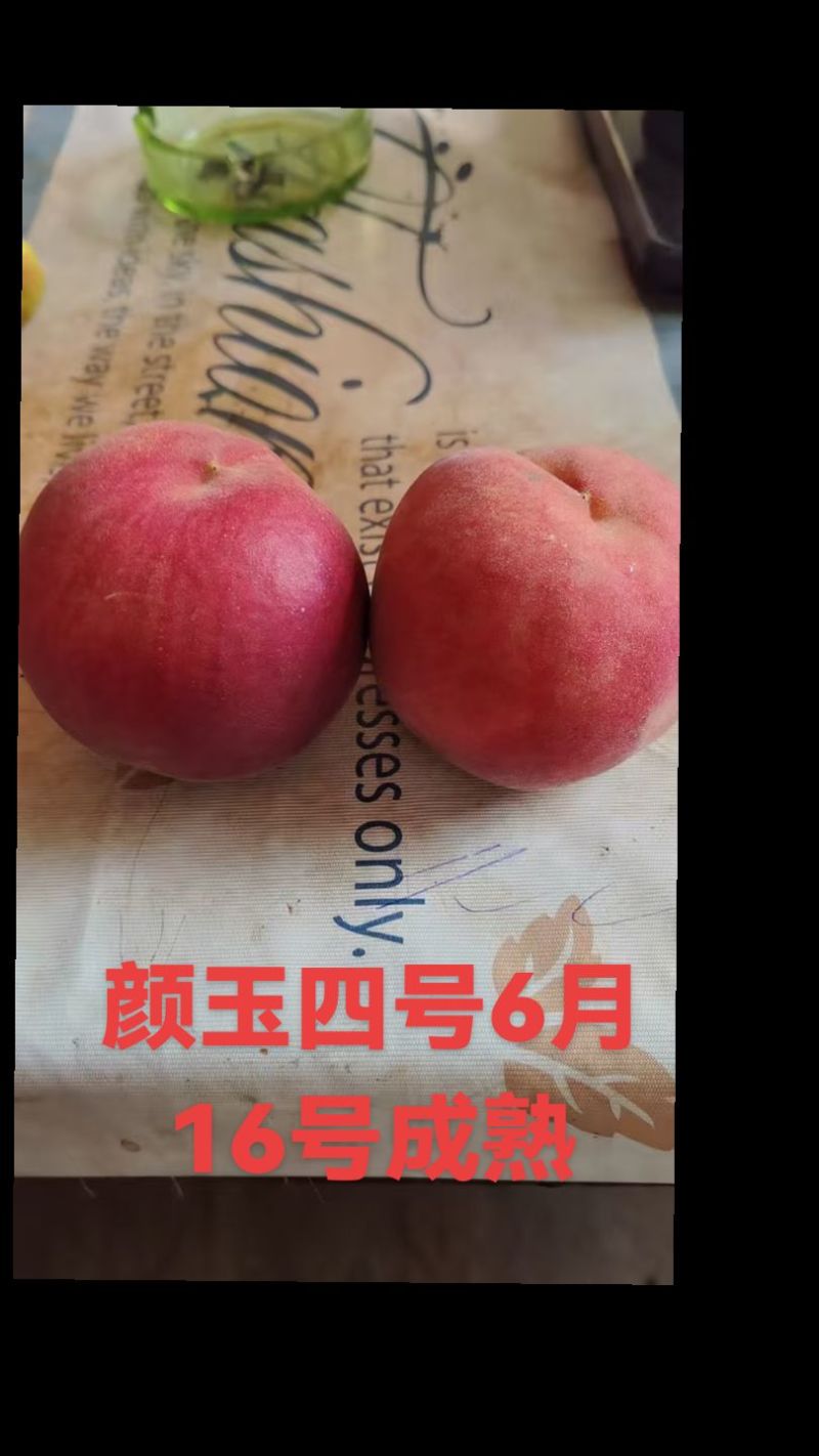 深州蜜桃