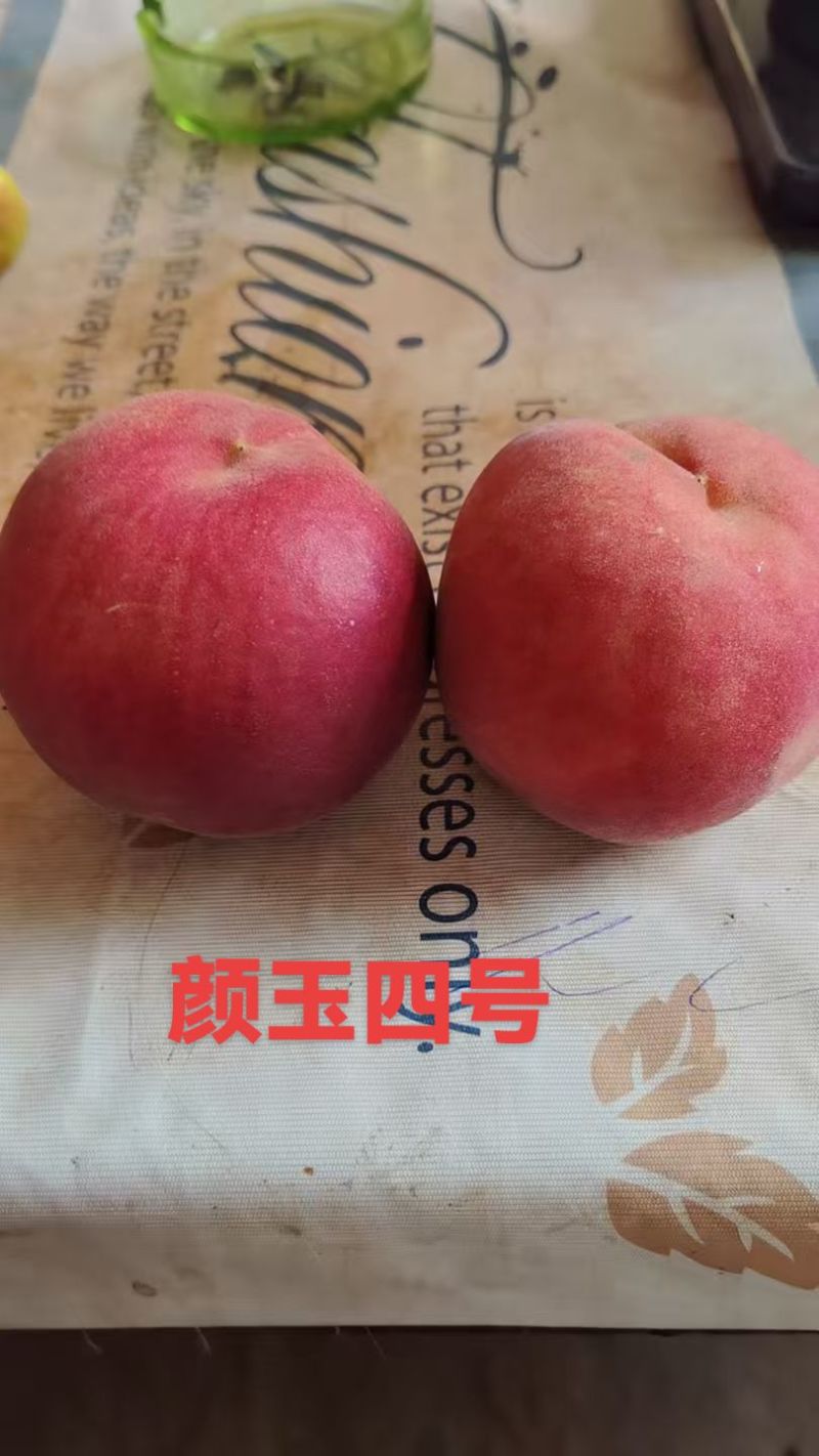深州蜜桃