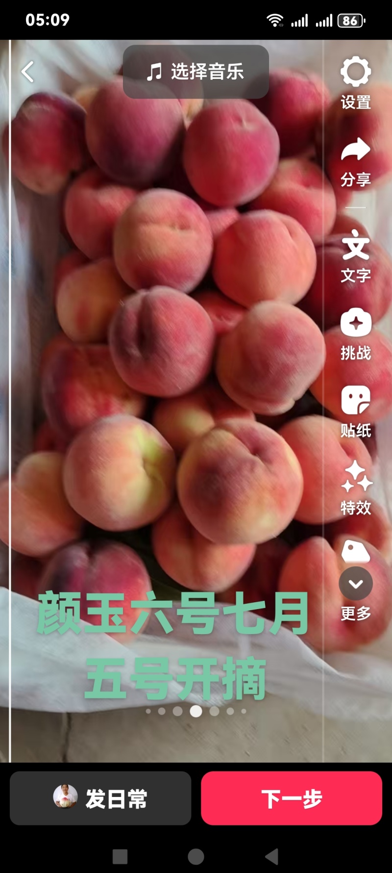 深州蜜桃