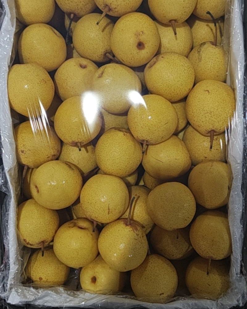 白梨