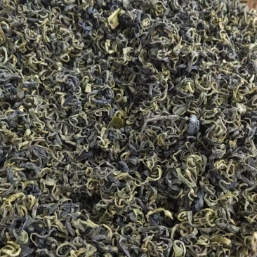 大山茶