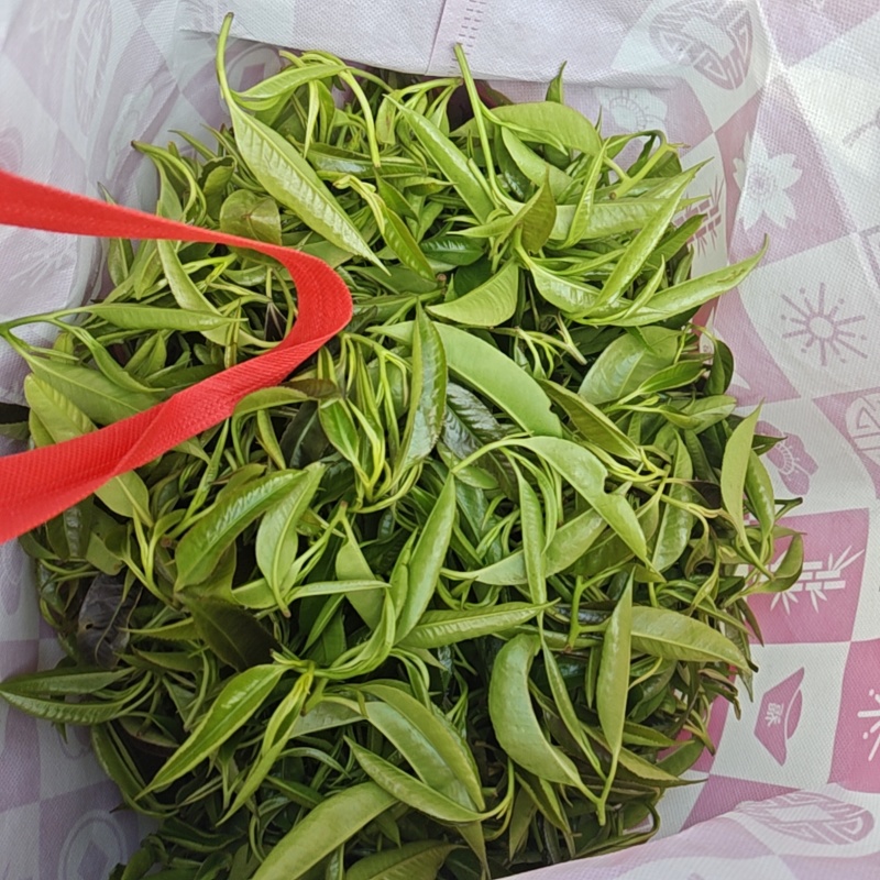 大山茶