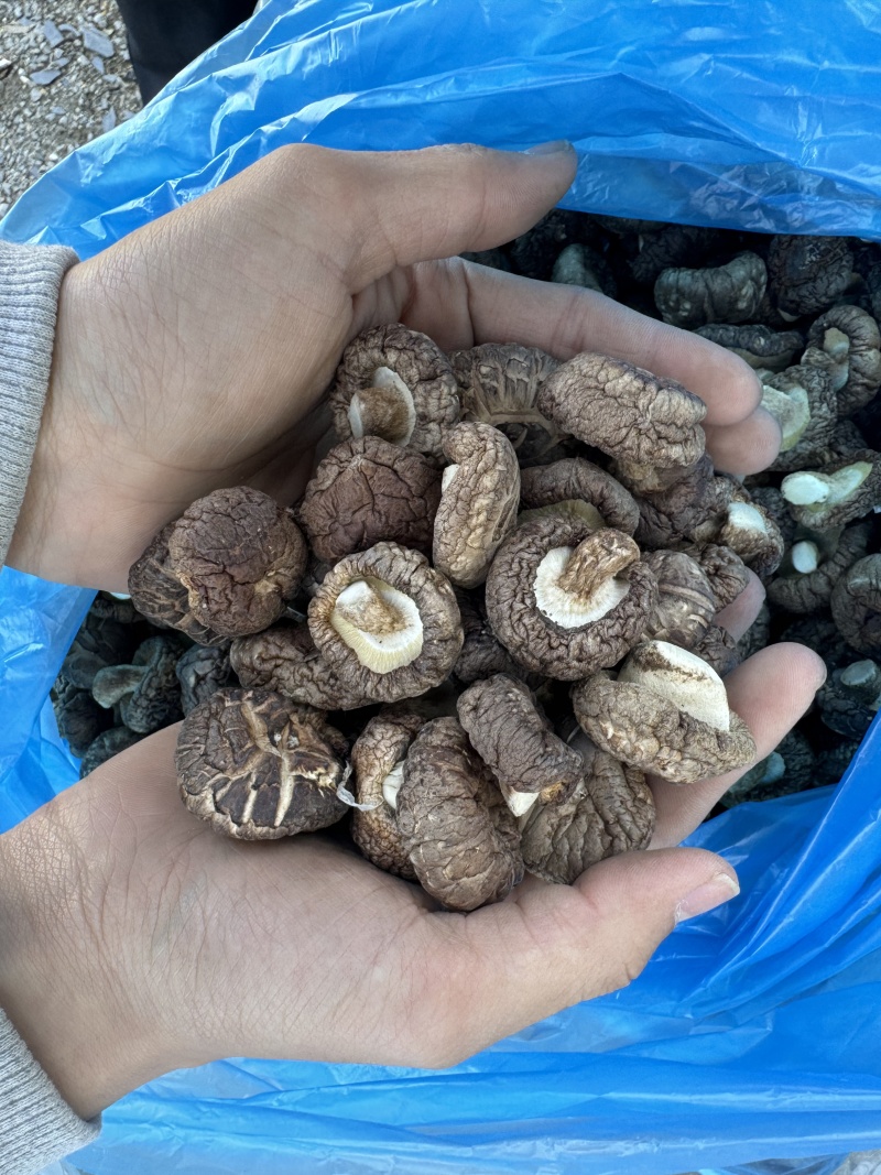 农家基地自晒香菇干无硫磺熏制香菇干