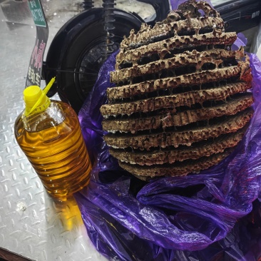 野生蜂巢