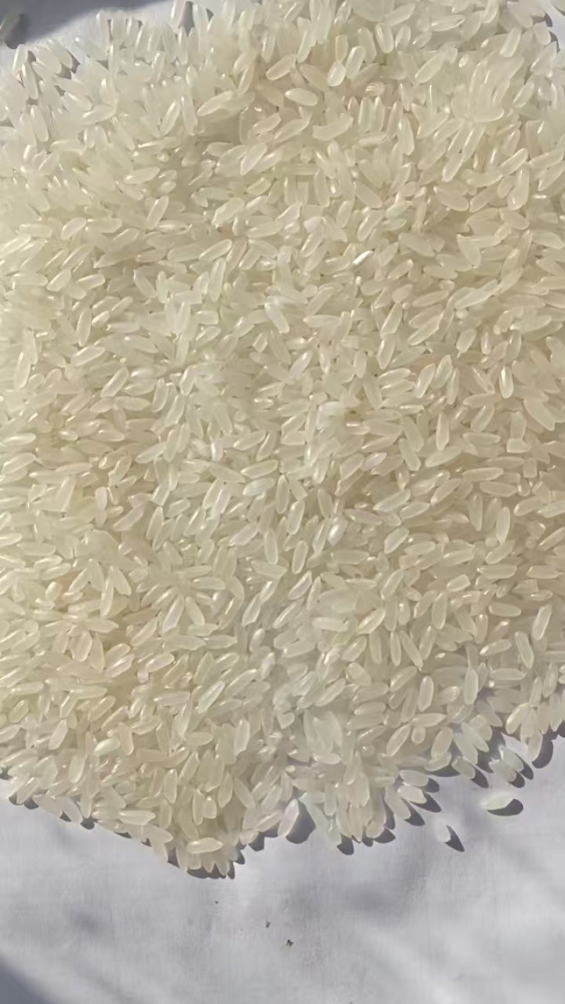 东北大米黑龙江