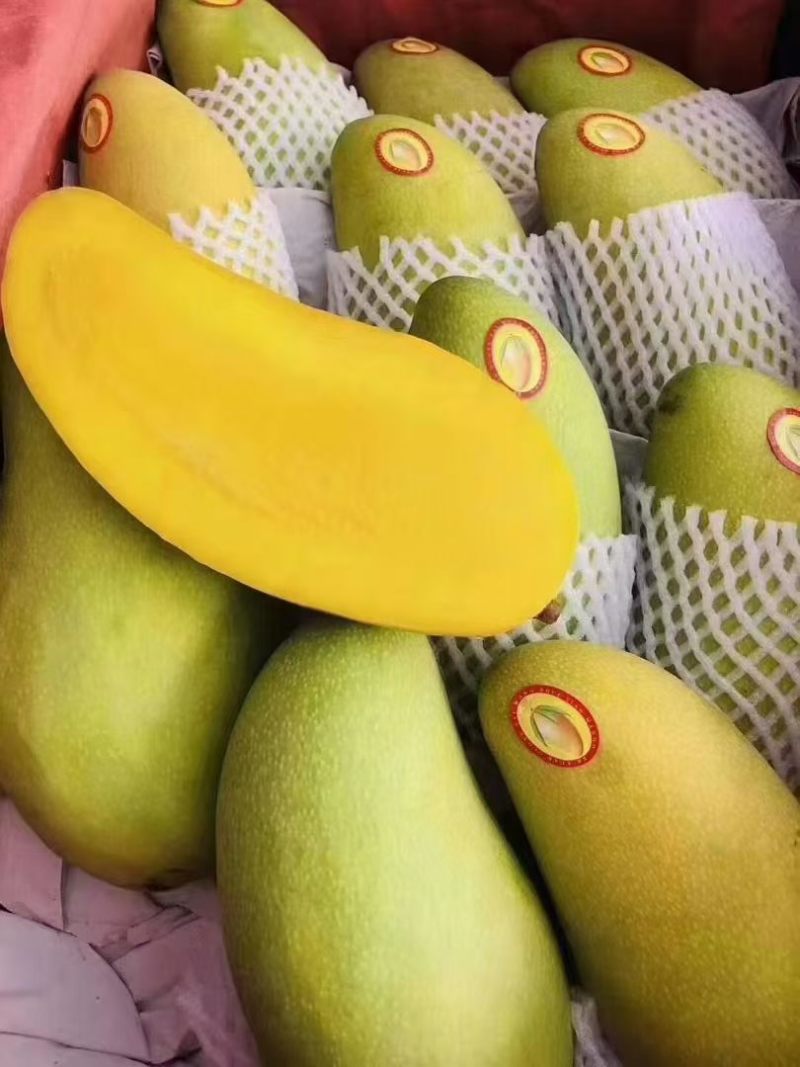 海南省陵水金皇芒果