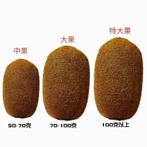 贵州贵阳修文猕猴桃