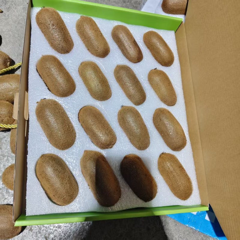 贵州贵阳修文猕猴桃