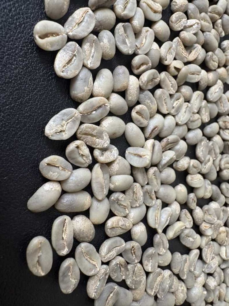 咖啡生豆水洗咖啡生豆一级阿拉比卡卡蒂姆云南普洱咖啡