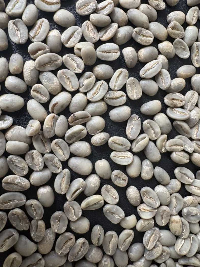 咖啡生豆水洗咖啡生豆一级阿拉比卡卡蒂姆云南普洱咖啡