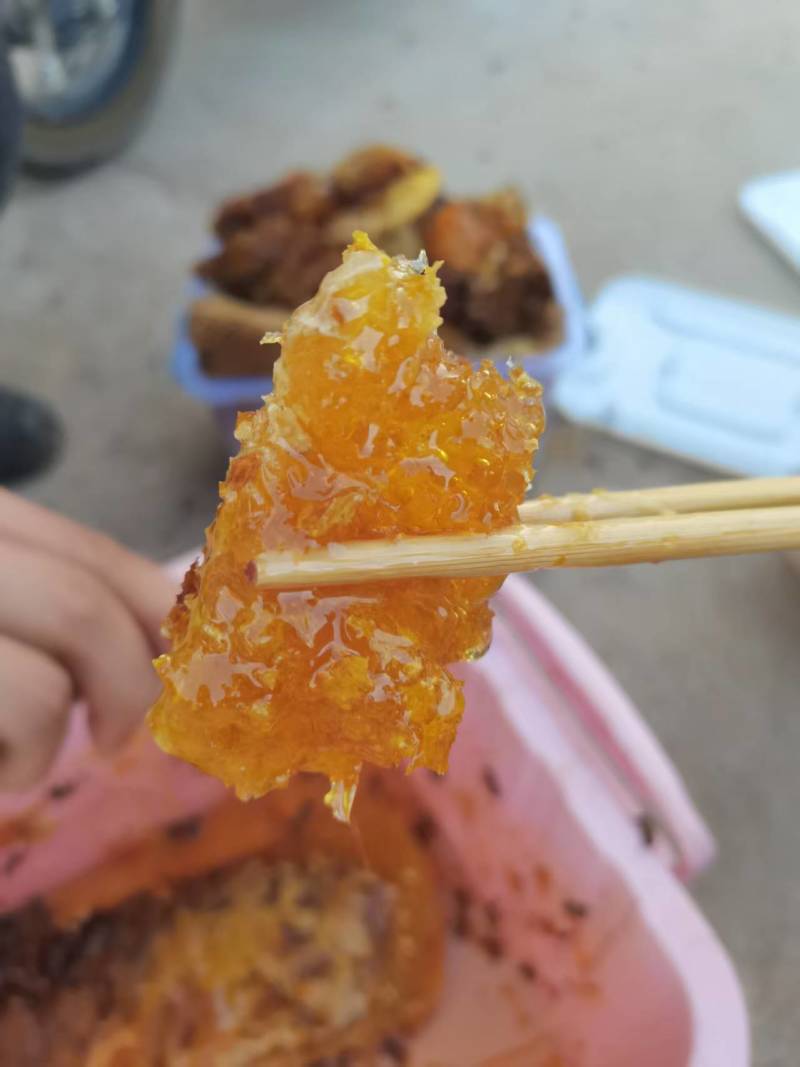云南深山中华土蜂蜜