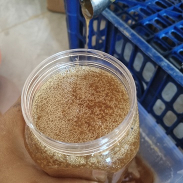云南深山中华土蜂蜜