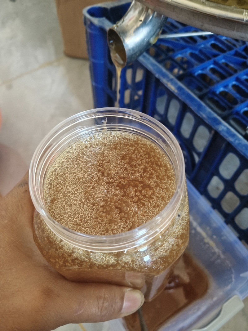 云南深山中华土蜂蜜