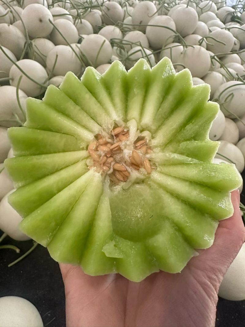 主做精品瓜，专版箱，礼盒，品牌箱，公司货糖度16➕干净