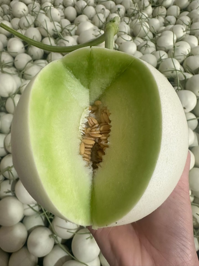 主做精品瓜，专版箱，礼盒，品牌箱，公司货糖度16➕干净