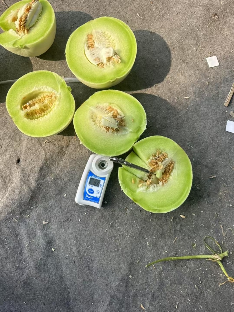 主做精品瓜，专版箱，礼盒，品牌箱，公司货糖度16➕干净