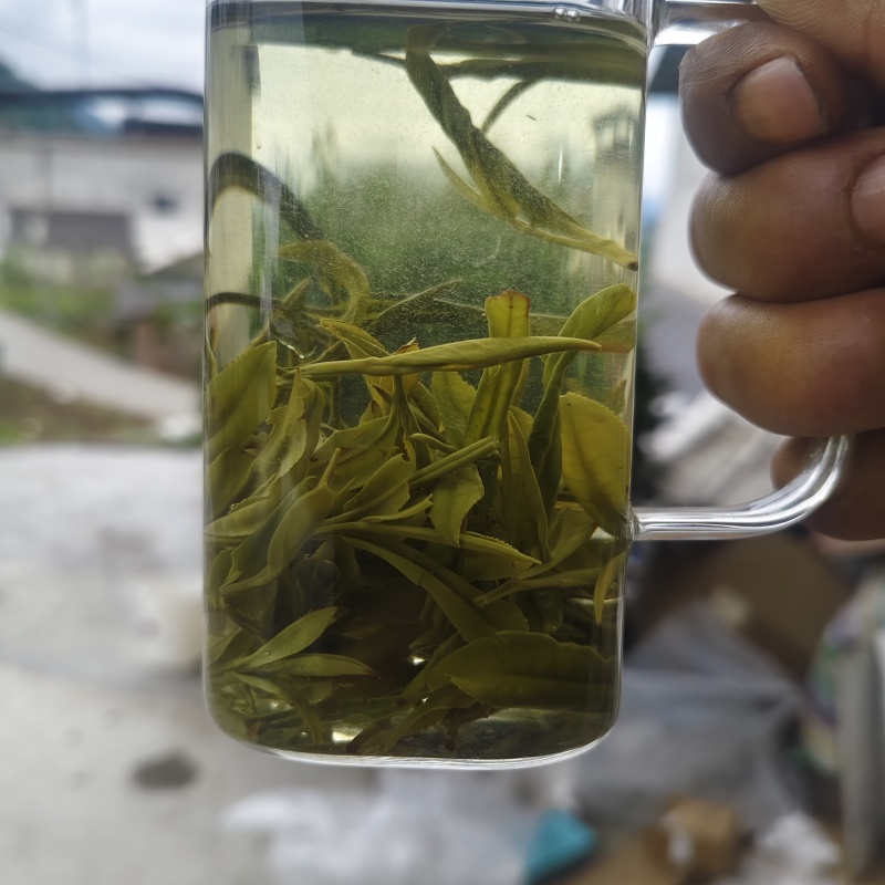 茶叶