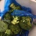 菠菜，芹菜，生菜，香菜，甘蓝，大白菜，长豆角，茴香，