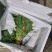 菠菜，芹菜，生菜，香菜，甘蓝，大白菜，长豆角，茴香，