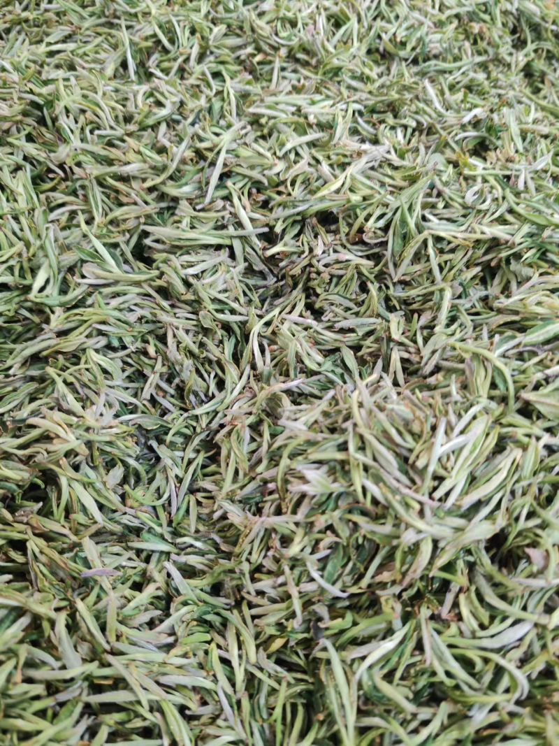 庐山云雾茶