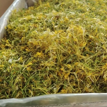 上新干花山花五彩花